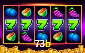 73b.com
