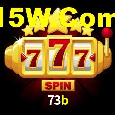 73b App Interface