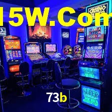 73b.com