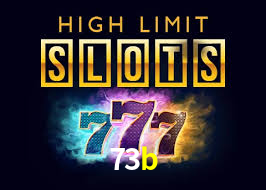 73b