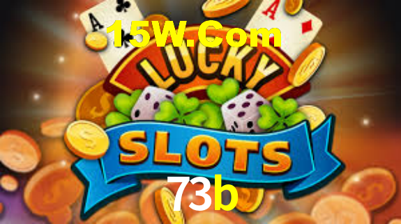 73b.com